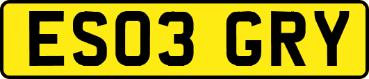 ES03GRY
