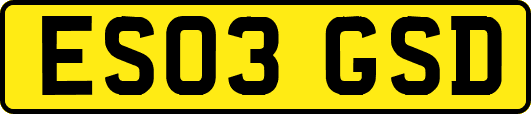 ES03GSD
