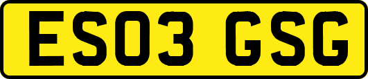 ES03GSG