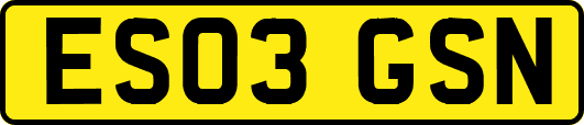ES03GSN