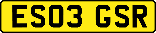 ES03GSR