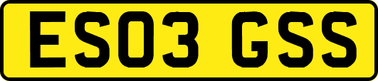 ES03GSS