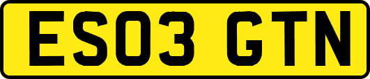 ES03GTN