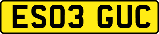 ES03GUC