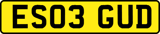 ES03GUD