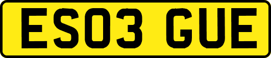 ES03GUE
