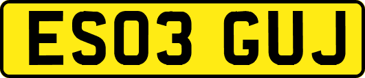 ES03GUJ
