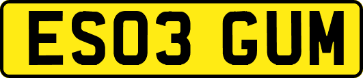 ES03GUM