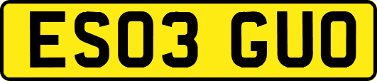 ES03GUO