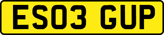 ES03GUP