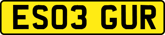 ES03GUR