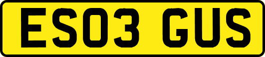 ES03GUS