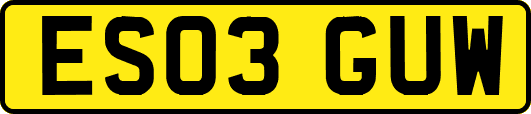 ES03GUW