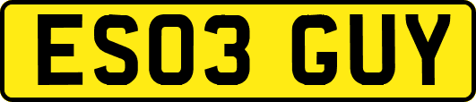 ES03GUY