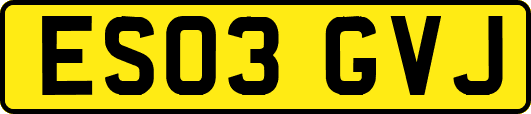 ES03GVJ