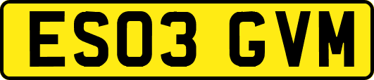 ES03GVM
