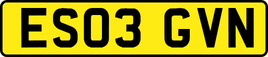 ES03GVN
