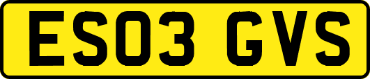 ES03GVS