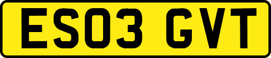 ES03GVT
