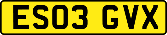 ES03GVX
