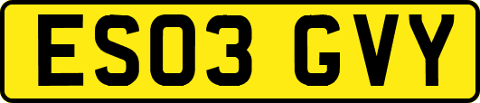 ES03GVY