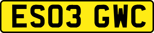 ES03GWC