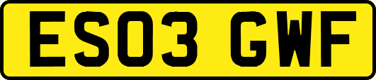 ES03GWF