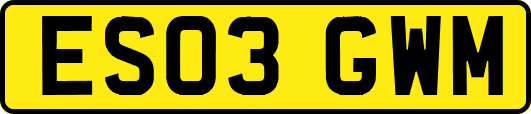 ES03GWM