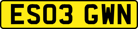 ES03GWN