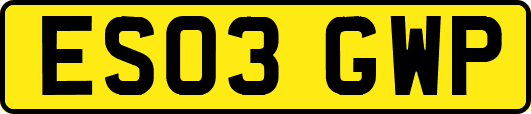 ES03GWP