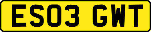 ES03GWT