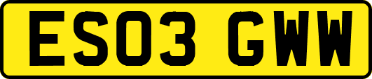 ES03GWW