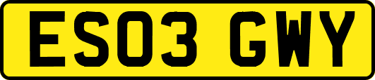 ES03GWY