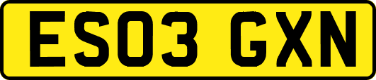 ES03GXN