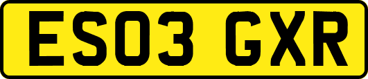 ES03GXR