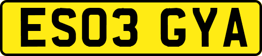 ES03GYA