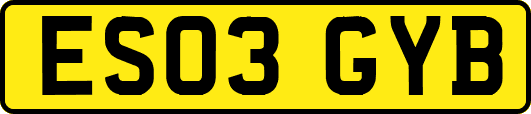 ES03GYB