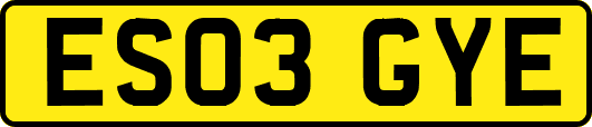 ES03GYE