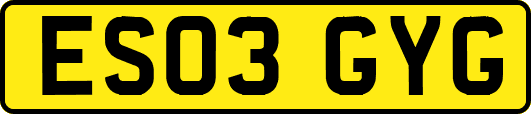 ES03GYG