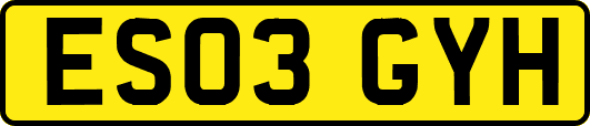 ES03GYH