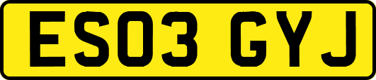 ES03GYJ