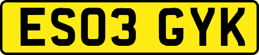 ES03GYK