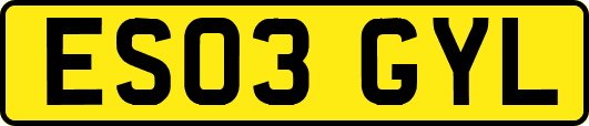 ES03GYL
