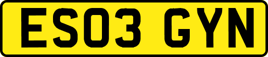 ES03GYN