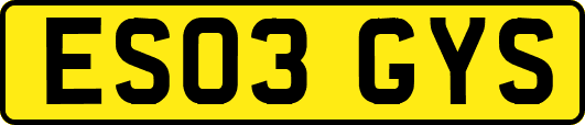 ES03GYS