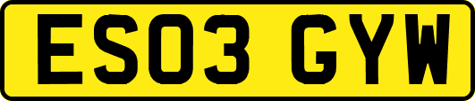 ES03GYW