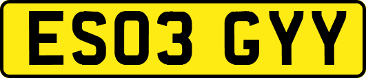 ES03GYY