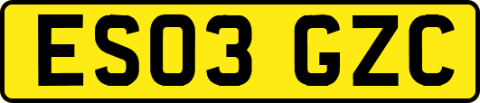 ES03GZC