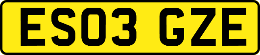 ES03GZE