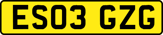 ES03GZG